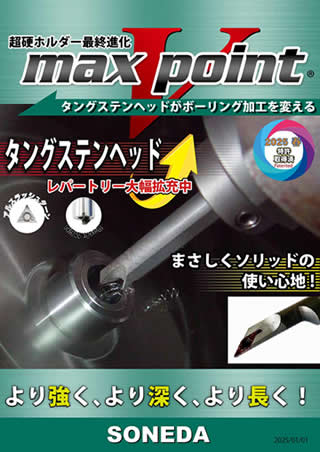 maxvpoint-01.jpg