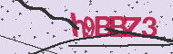 Captcha認証コード