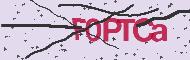 Captcha認証コード
