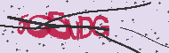 Captcha認証コード