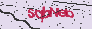 Captcha認証コード