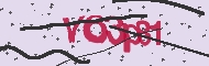 Captcha認証コード