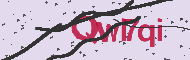 Captcha認証コード