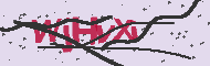 Captcha認証コード