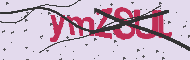 Captcha認証コード