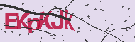 Captcha認証コード