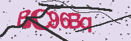 Captcha認証コード