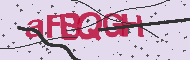 Captcha認証コード