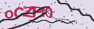 Captcha認証コード