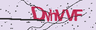 Captcha認証コード