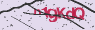 Captcha認証コード