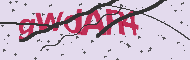 Captcha認証コード