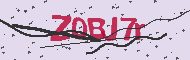 Captcha認証コード