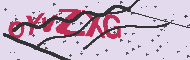 Captcha認証コード