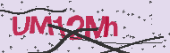 Captcha認証コード