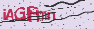 Captcha認証コード