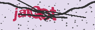 Captcha認証コード