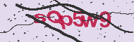 Captcha認証コード