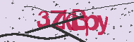 Captcha認証コード