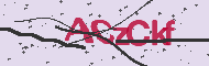 Captcha認証コード
