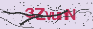 Captcha認証コード