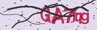 Captcha認証コード