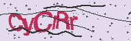 Captcha認証コード