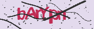 Captcha認証コード